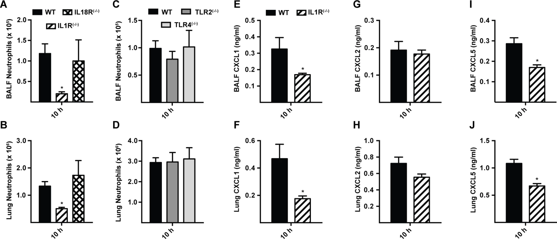 Interleukin-1 receptor signaling controls MyD88-dependent chemokine induction and neutrophil recruitment.