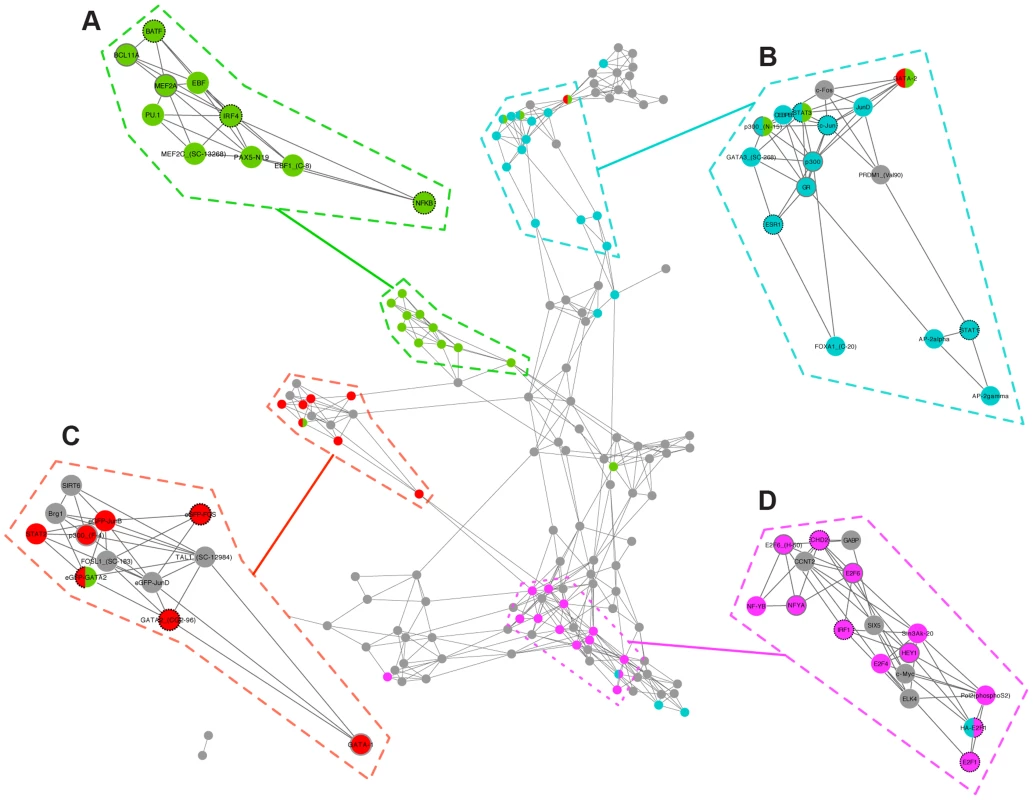 Transcription factor interaction network reveals functional and disease sub-networks.