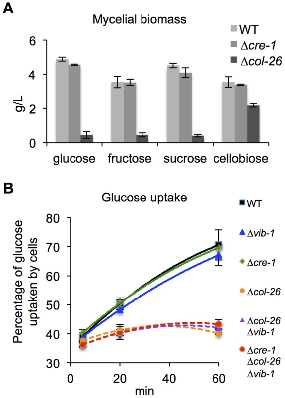 Deletion of <i>col-26</i> causes defects in glucose sensing/metabolism.