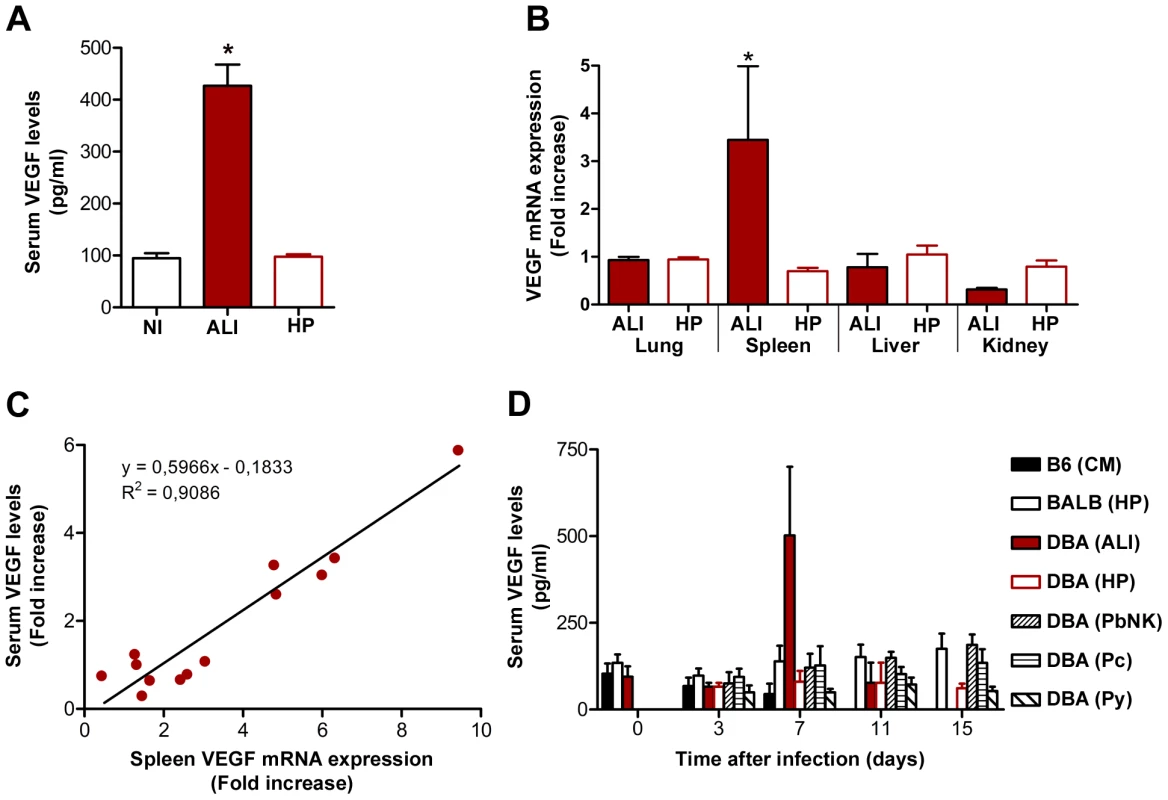 VEGF correlates with ALI onset during malaria infection.