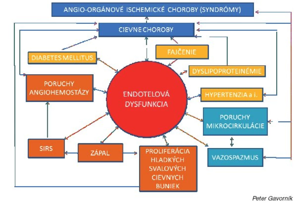 Dysfunkcia endotelu a jej význam v patogenéze artériovej trombózy a iných cievnych chorôb a orgánových ischemických chorôb (Gavorník P., 2002)