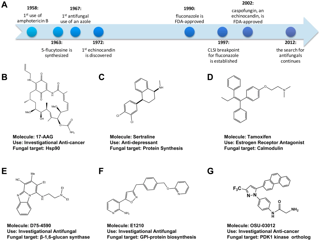 Antifungal drug development timeline.