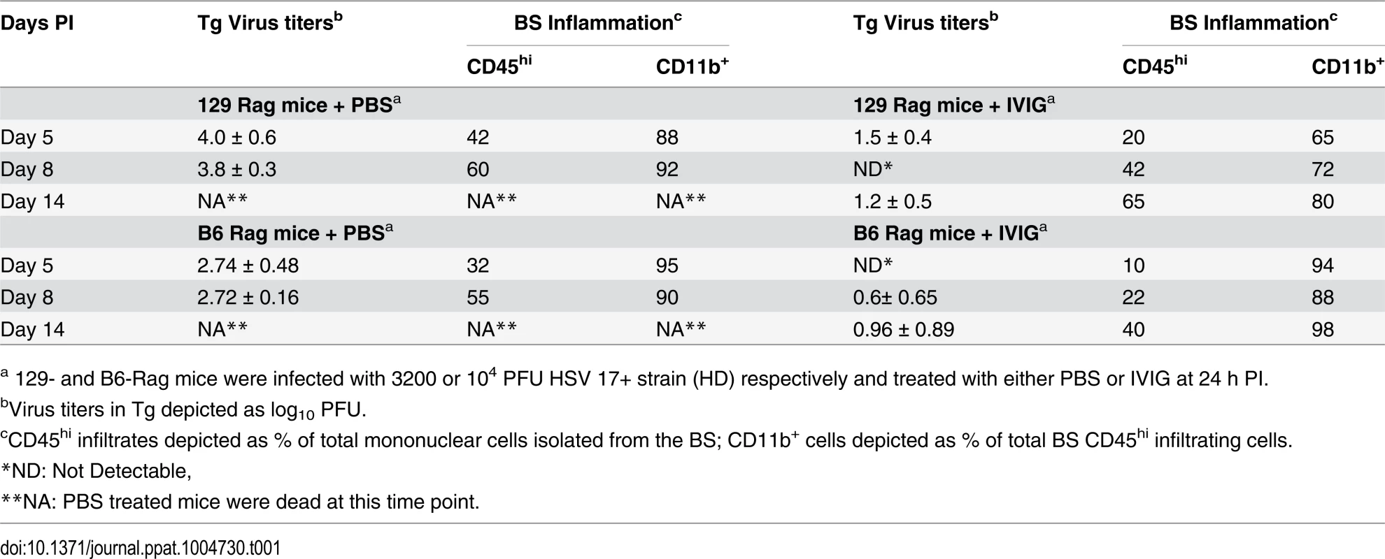 Tg virus titers and BS inflammation in Rag mice.