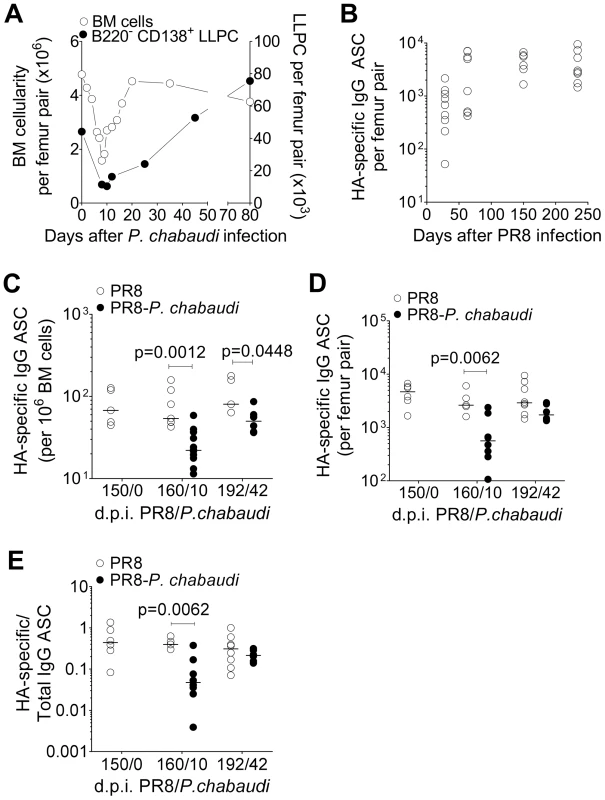 Loss of pre-established Influenza-specific bone marrow plasma cells during acute infection with <i>P. chabaudi</i>.