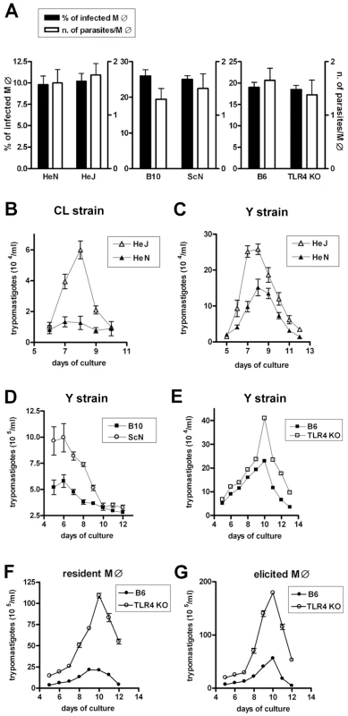Equal invasion rate but increased growth of <i>T. cruzi</i> in TLR4-deficient macrophages.