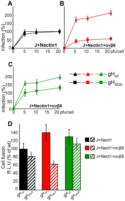 The RGD motif in gH is required for HSV infection and cell-cell fusion mediated by αvβ6–integrin, but not by αvβ8–integrin.