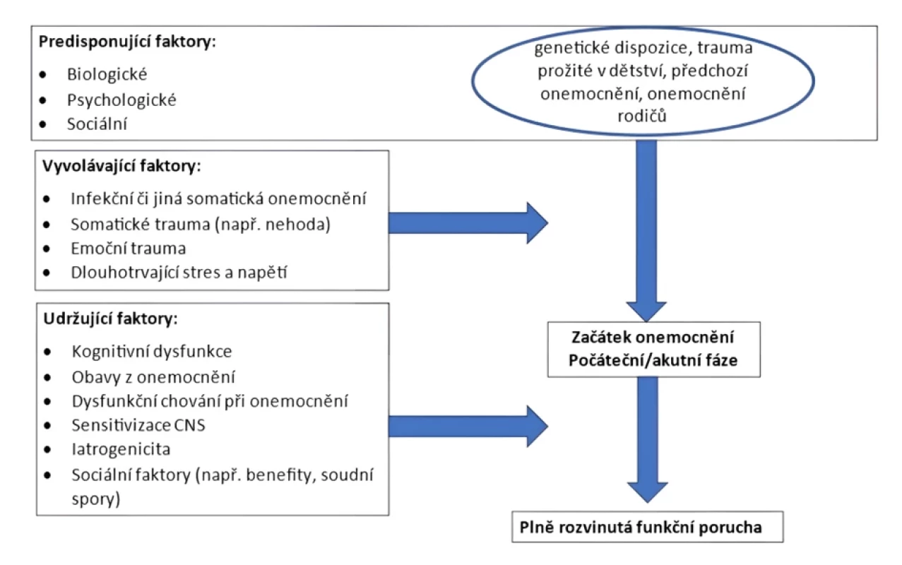 Etiopatogeneze funkčních poruch (modifikováno dle: 1)