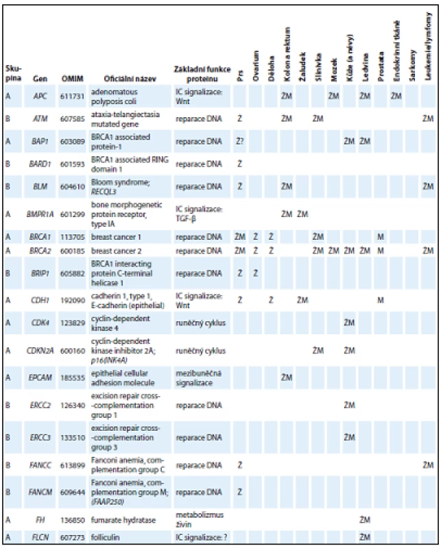 Přehled základních charakteristik 54 genů zařazených do skupiny A nebo B 
s charakterizací funkcí kódovaných proteinů a asociací nádorových onemocnění v příslušných lokalizacích spojených s nosičstvím dědičných patogenních variant.