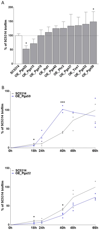 Overexpression of selected cell wall protein genes impacts the kinetics of biofilm formation.
