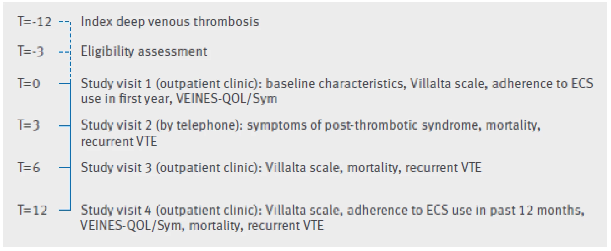 Study design (time in months). ECS=elastic compression stockings; VTE=venous thromboembolism