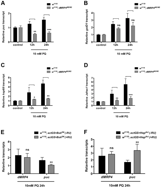 <i>dMRP4</i> is required for JNK-mediated gene expression under oxidative stress.
