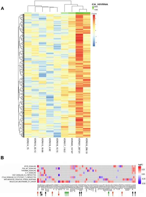 Changes in host genes were associated with an increase in CA-US HIV RNA after vorinostat.