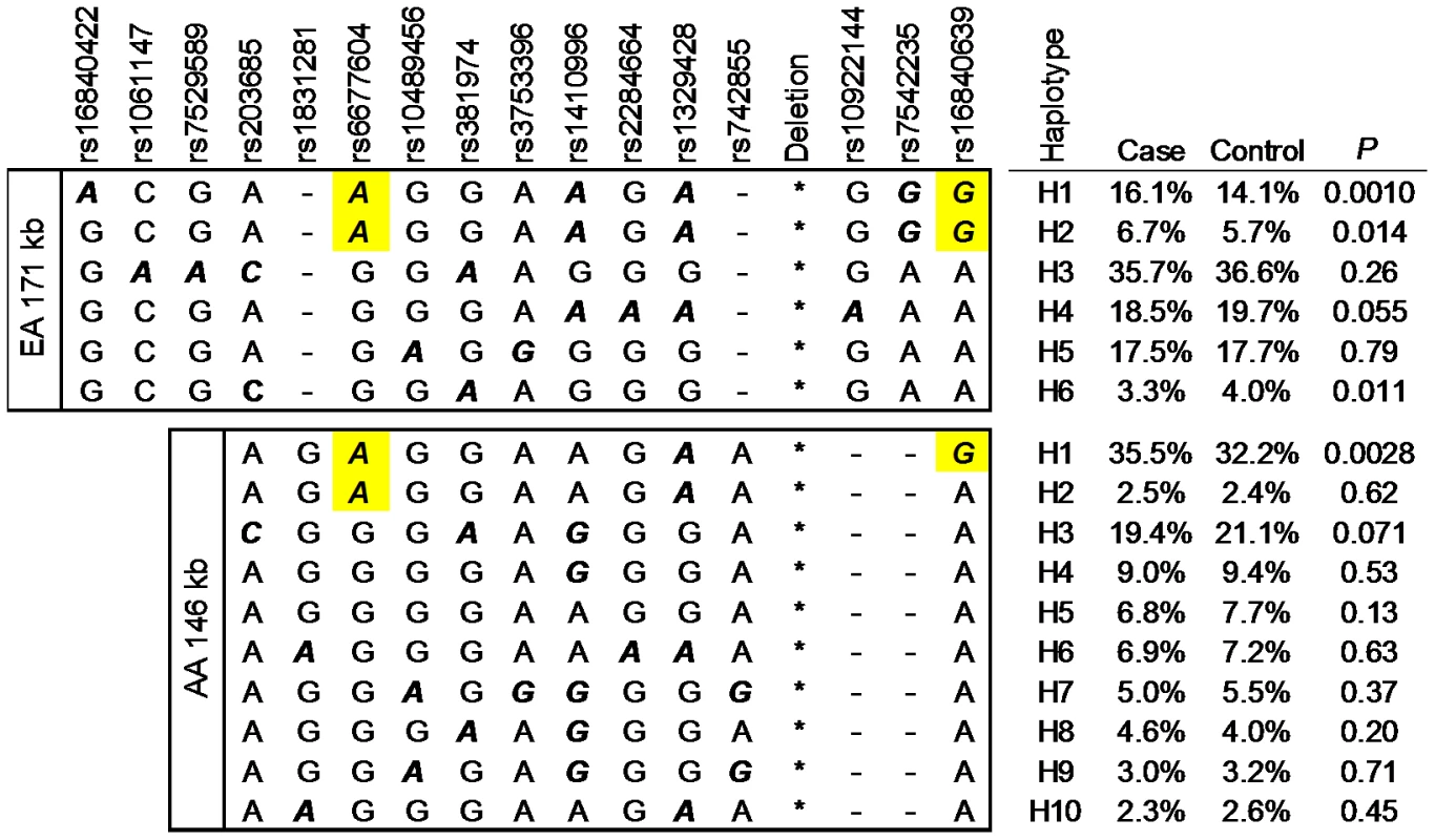 The minor allele of rs6677604 and rs16846039 tag risk haplotypes of SLE.