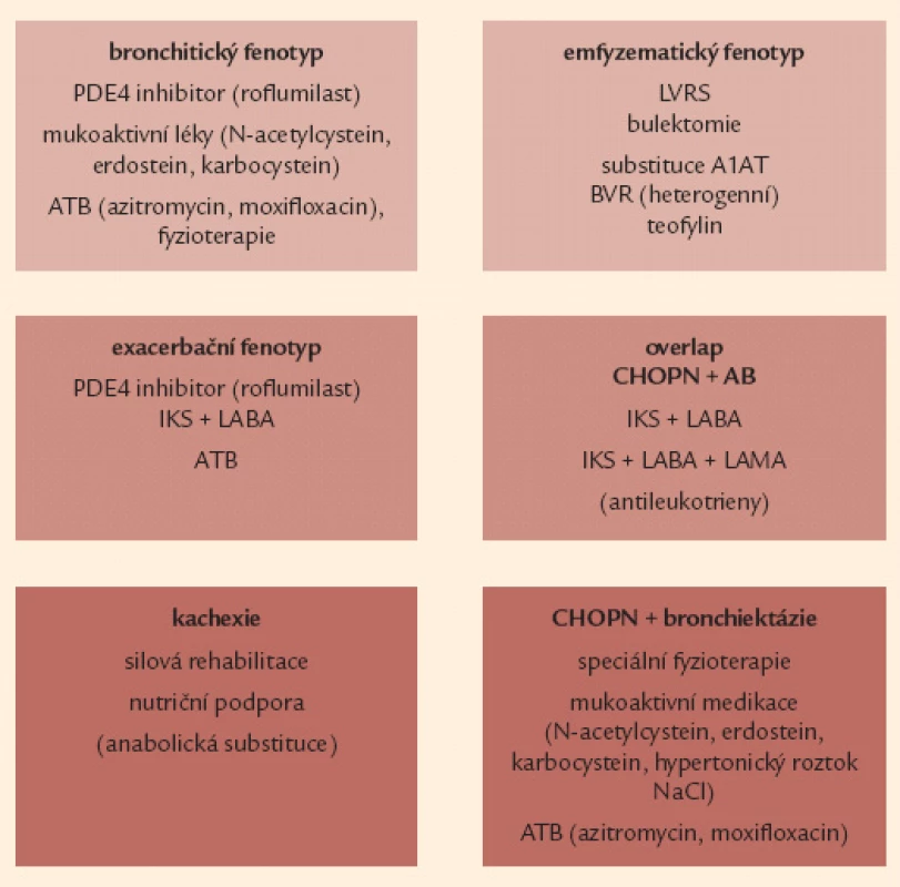 Souhrnná léčebná doporučení pro jednotlivé vyhraněné fenotypy CHOPN. 
A1AT – α-1 antitrypsin, AB – bronchiální astma, ATB – antibio tika, BVR – bronchoskopická volumredukce, IKS – inhalační kortikosteroidy, LABA – inhalační β&lt;sub&gt;2&lt;/sub&gt;- agonisté s dlouhodobým účinkem, LAMA – inhalační anticholinergika s dlouhodobým účinkem, LVRS – plicní volum redukující operace, NAC – N- acetylcystein, PDE4 – fosfodiesteráza 4, NaCl – natrium chloratum