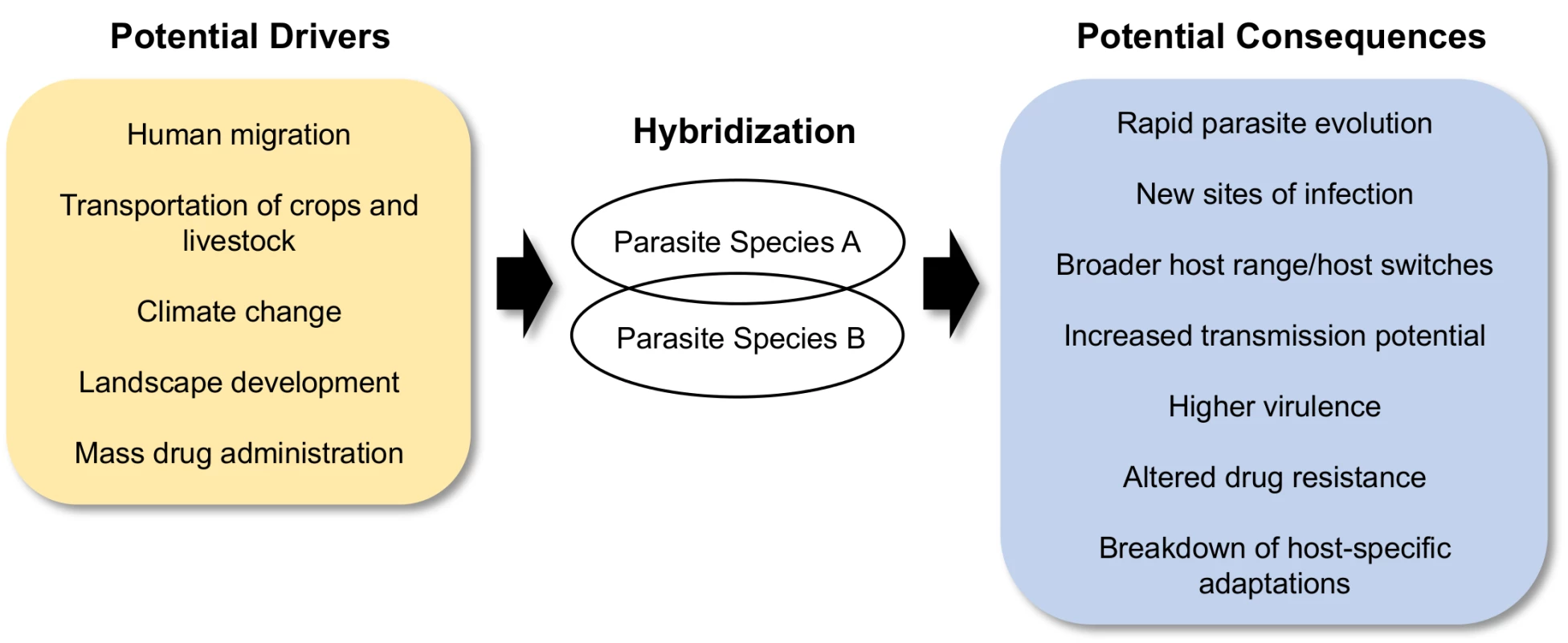 Schematic of the drivers and consequences of parasite hybridization.