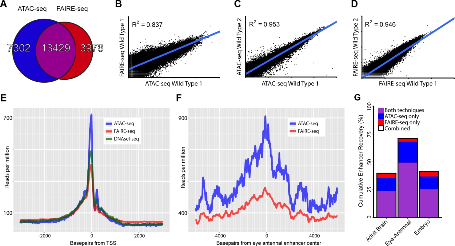 Comparing general features of ATAC-seq and FAIRE-seq.