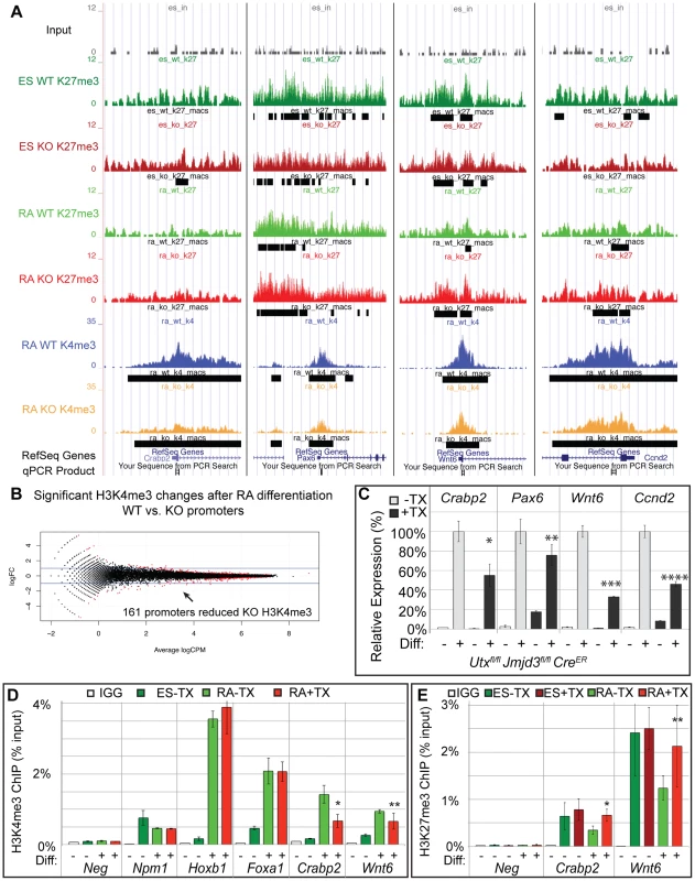 A subset of genes exhibit reduction of H3K4me3 with loss of UTX and JMJD3.