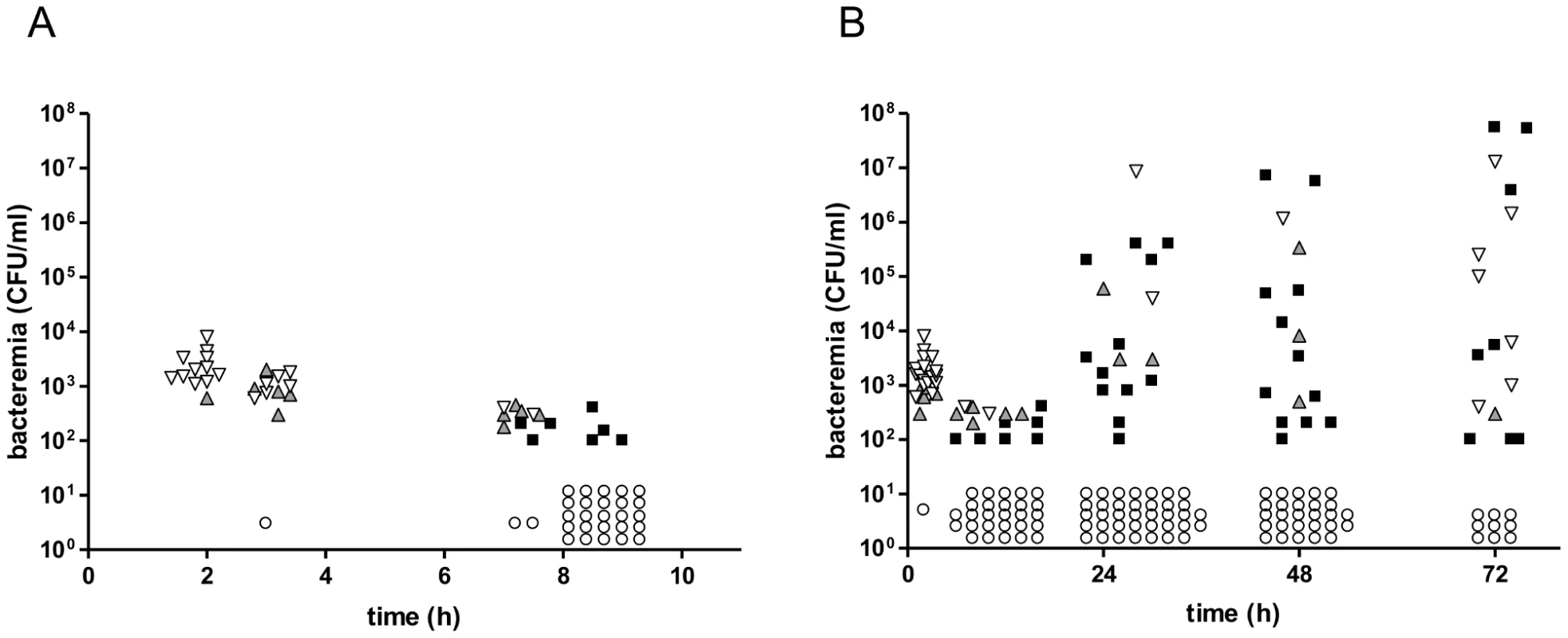 Co-infection of CD1 mice with three isogenic variants of <i>S. pneumoniae</i> TIGR4.