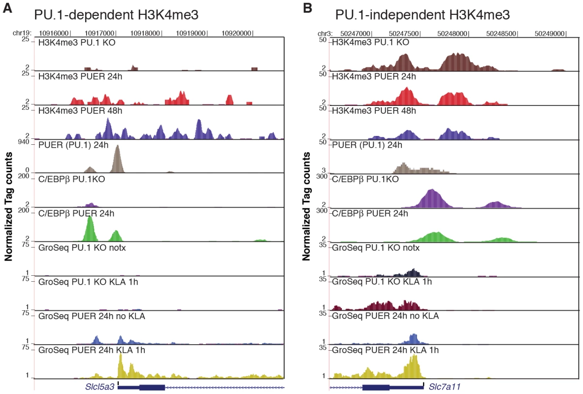 PU.1 establishes promoter H3K4me3 and basal expression required for KLA activation of a subset of TLR4-responsive genes.