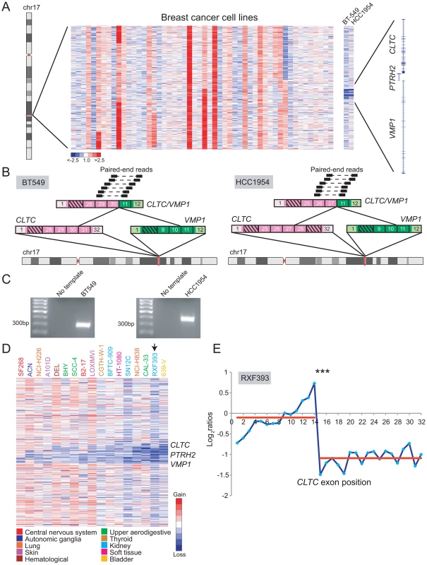 DBA discovery of recurrent rearrangements of <i>CLTC</i> and <i>VMP1</i> across diverse cancer types.