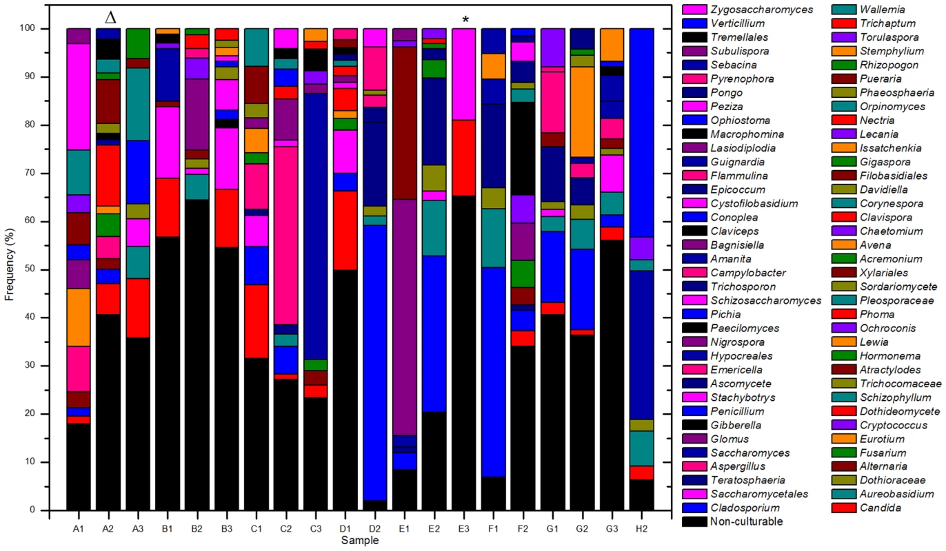 Overall distribution of fungi in oral rinse samples obtained from 20 healthy individuals.