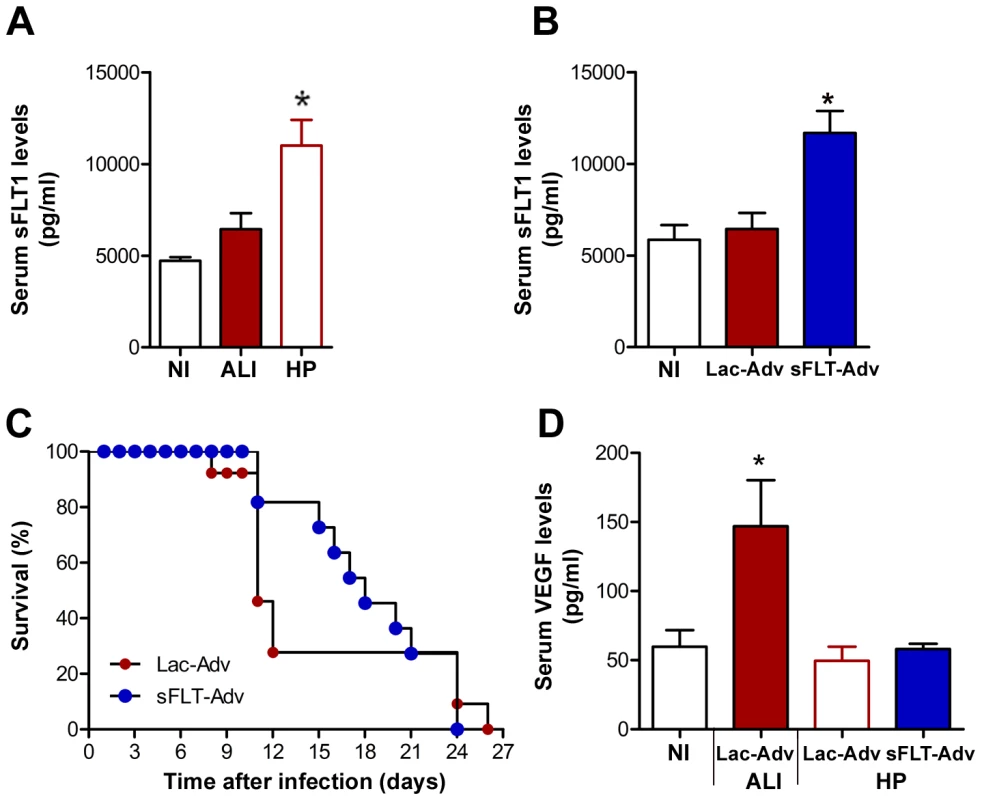 VEGF promotes ALI onset in mice with malaria.