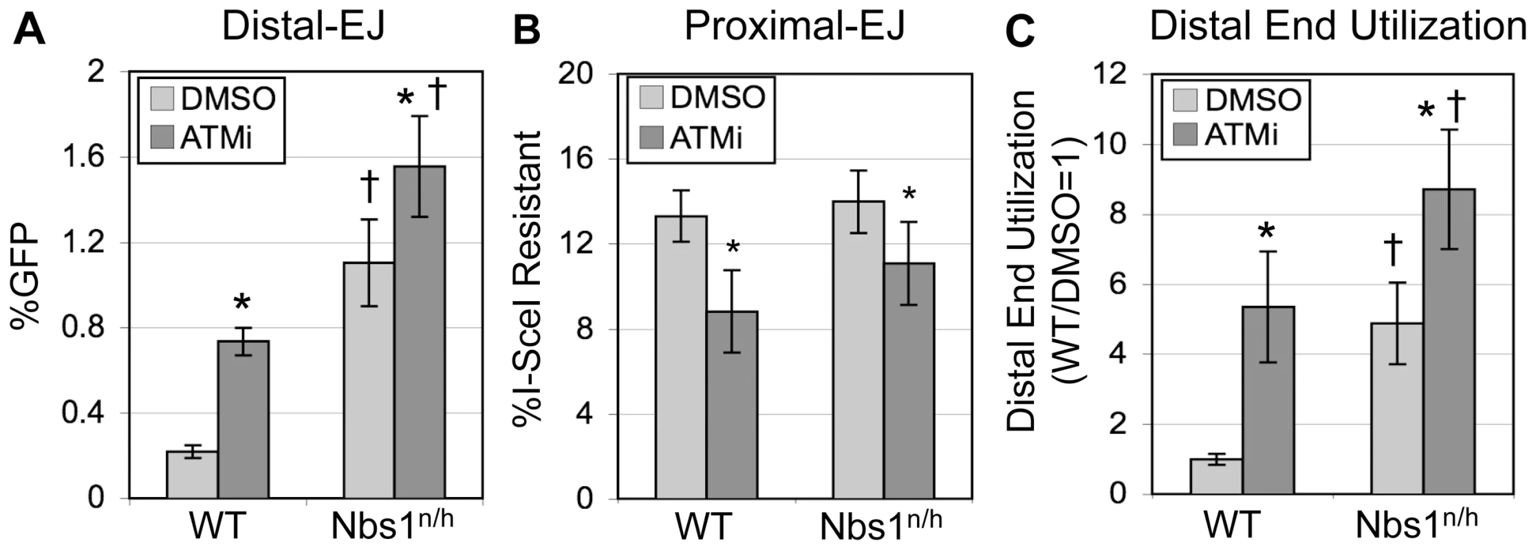 Nbs1 suppresses Distal-EJ to a similar degree as ATM.