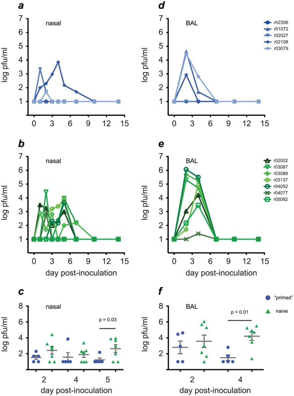 “Primed” animals clear H1N1pdm infection more rapidly than naive animals.