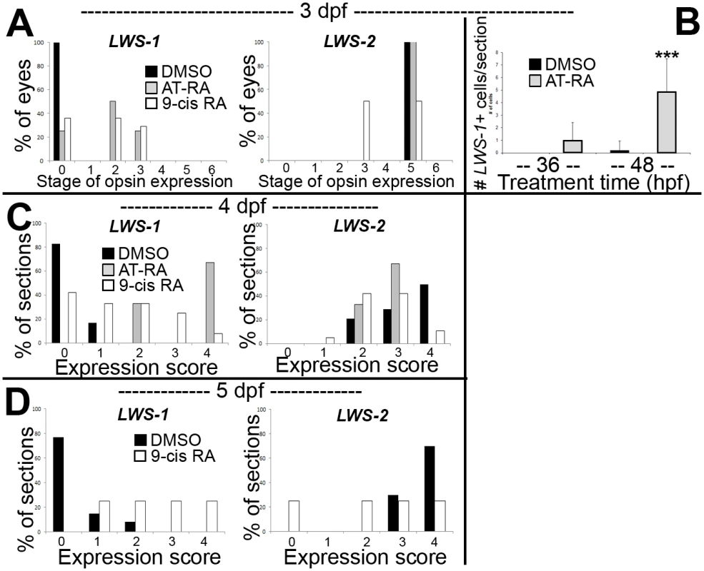 Quantitative analysis of expression patterns of <i>LWS1</i> and <i>LWS2</i> in response to all-trans RA (at-RA) or 9-cis RA treatment.