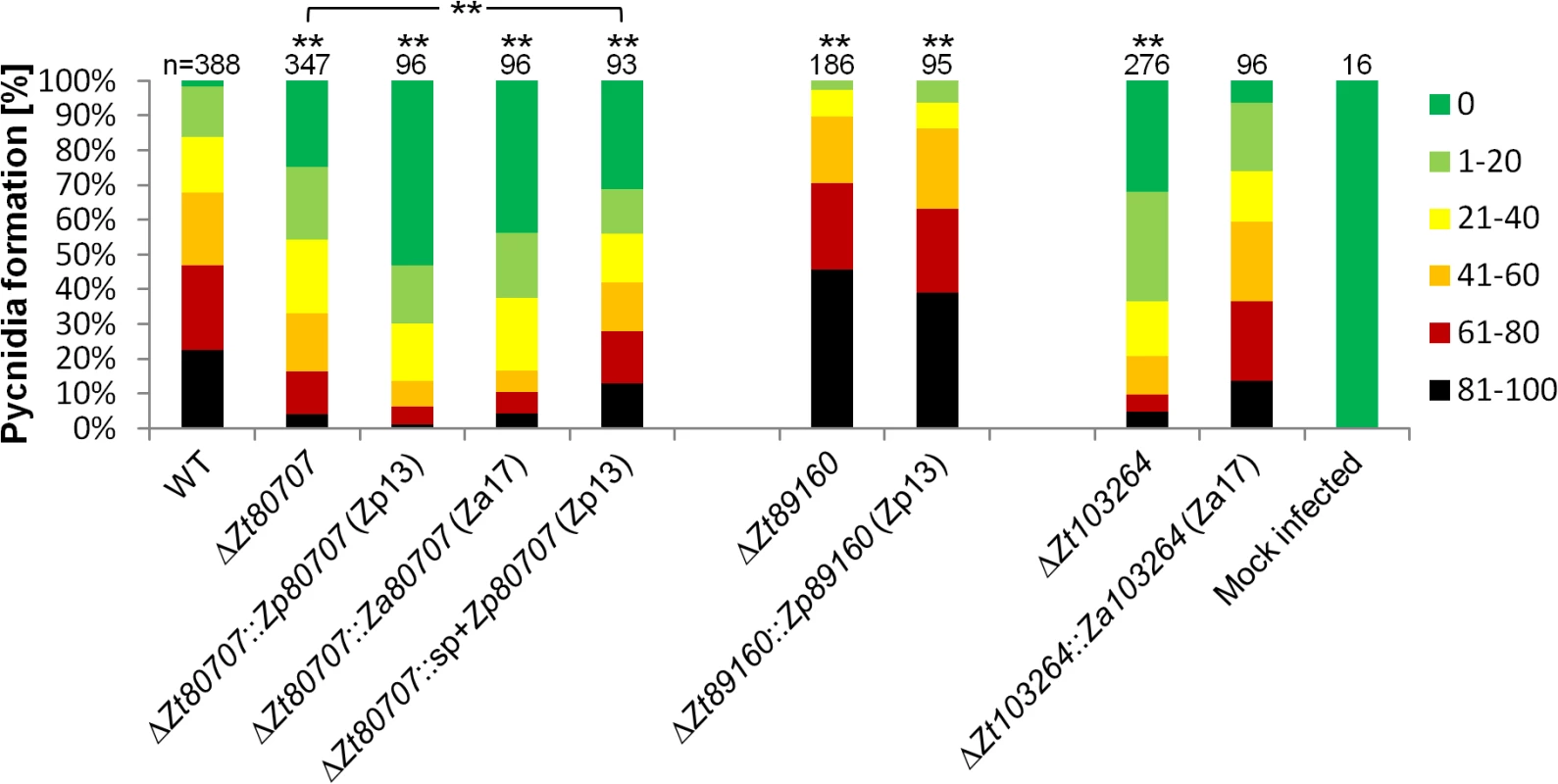 <i>In planta</i> phenotypic assay demonstrates impact of gene replacement in <i>Z</i>. <i>tritici</i>.