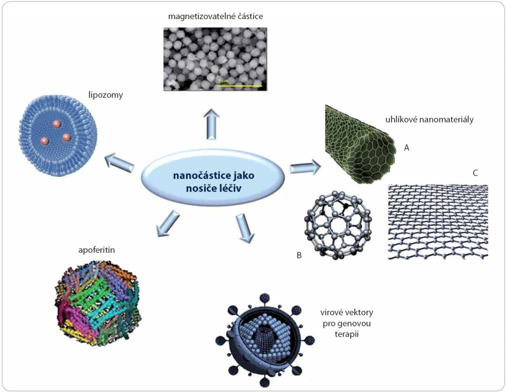 Schéma vybraných nosičů na bázi nanočástic: lipozomy, magnetizovatelné částice, apoferitin, uhlíkové nanomateriály (A – nanotrubice, B – fullereny, C – grafen), virové vektory.