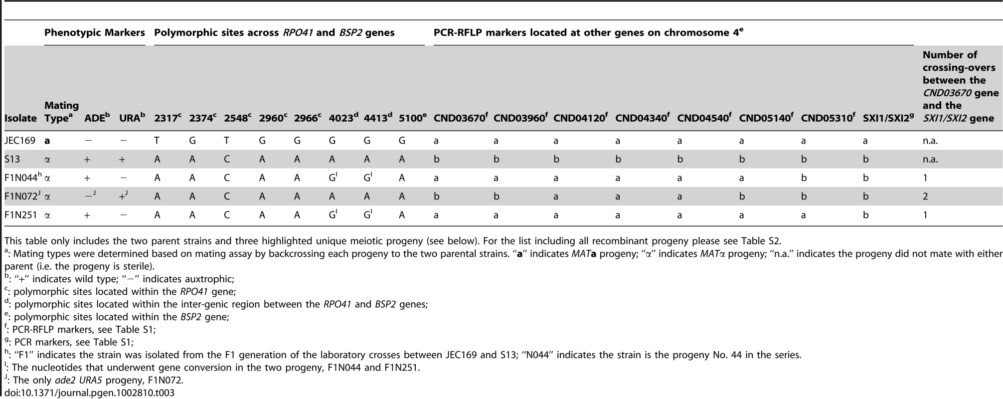 Genotypes of the two parental strains and representative recombinant progeny at the 18 markers screened in this study.