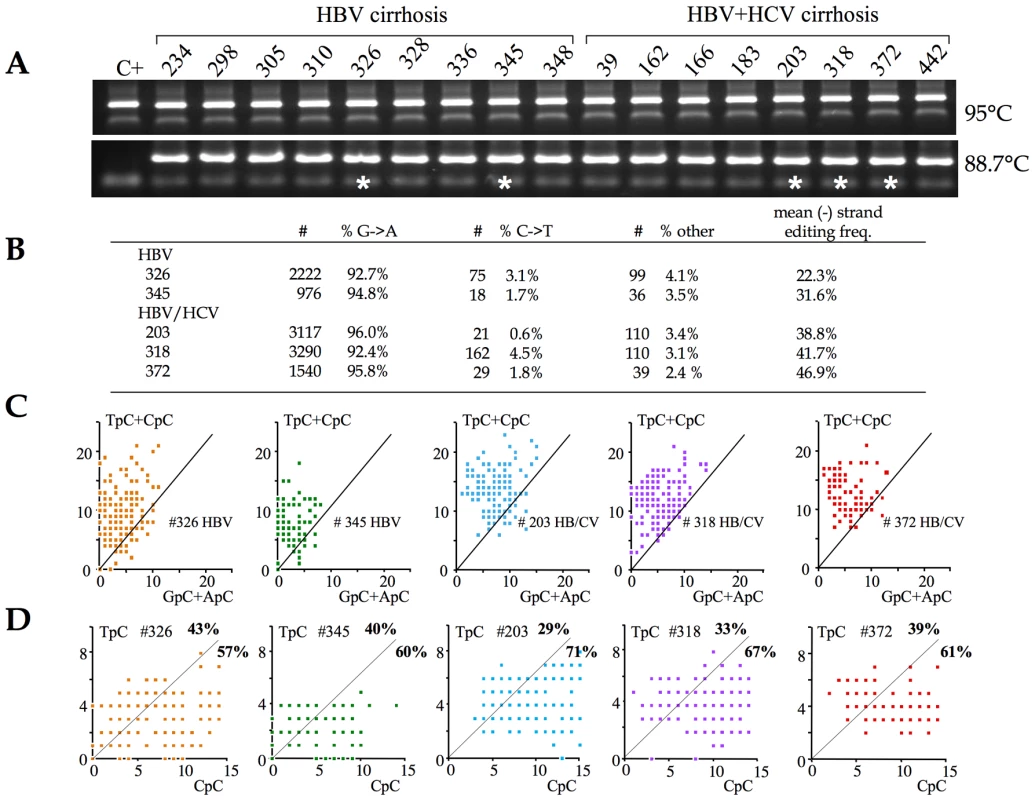 A3 deaminases are the major editors of HBV DNA <i>in vivo</i>.