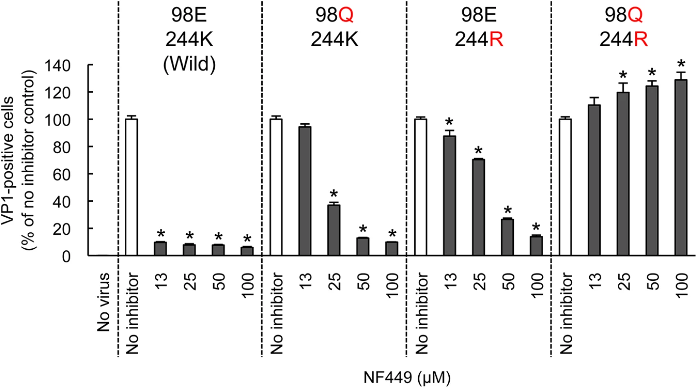 Mutations at the 5-fold capsid vertex reduce the protective effect of NF449.