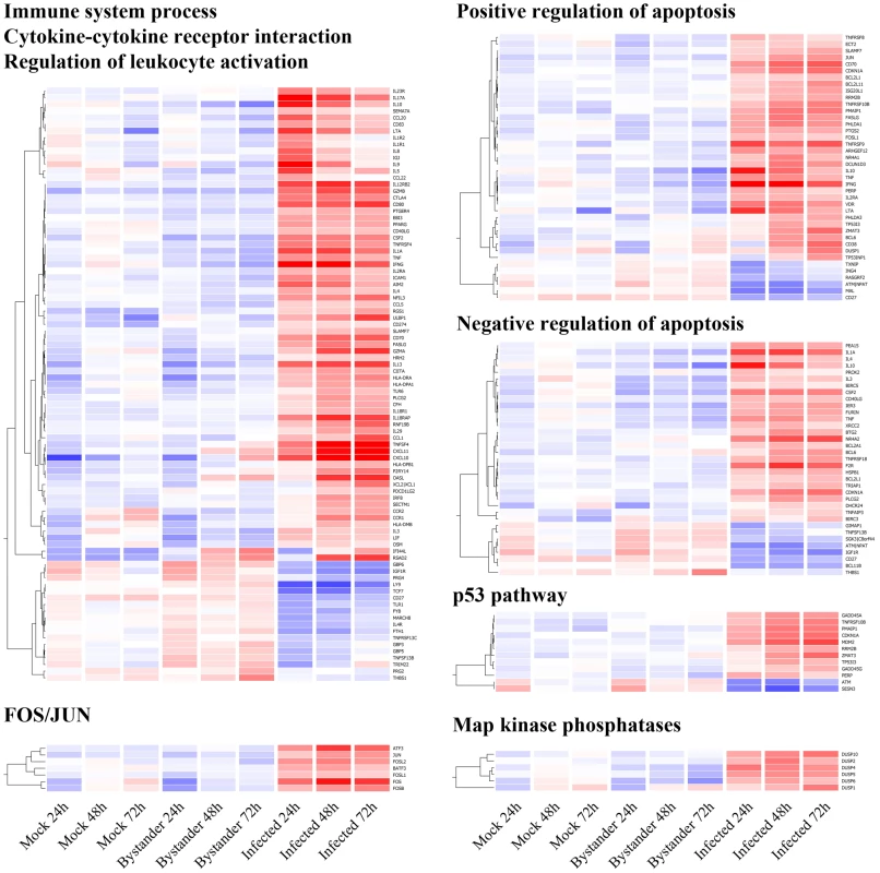 Gene Ontology overrepresentation analysis of genes differentially expressed in HIV-1-infected cells.