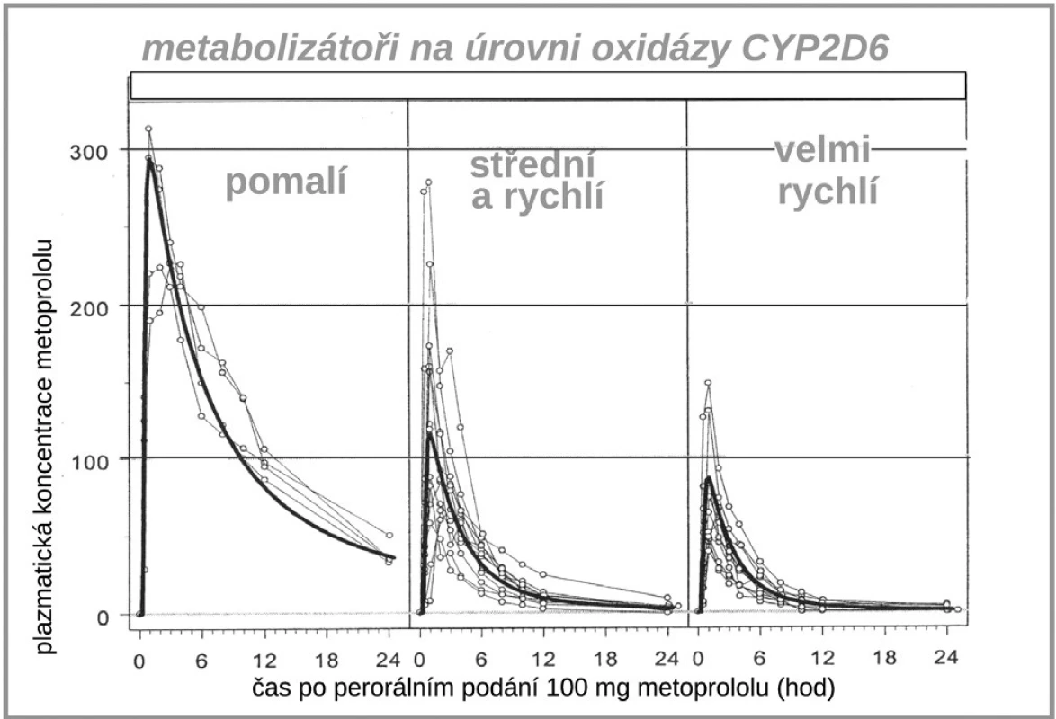 Vliv polymorfismu CYP2C9 na expozici (AUC) metoprololu (11)