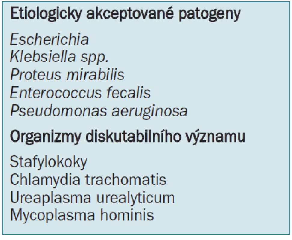 Nejčastěji se vyskytující patogeny při prostatitidě; upraveno podle Weidnera et al [2].