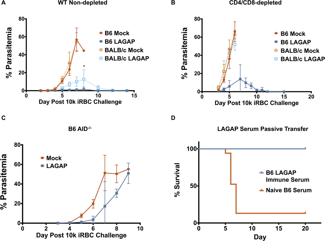 LAGAP immunization elicits T cells and antibodies that can protect against blood stage infection.