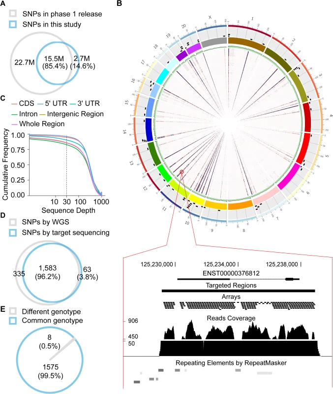 Profiling of polymorphisms in human and rhesus macaque.