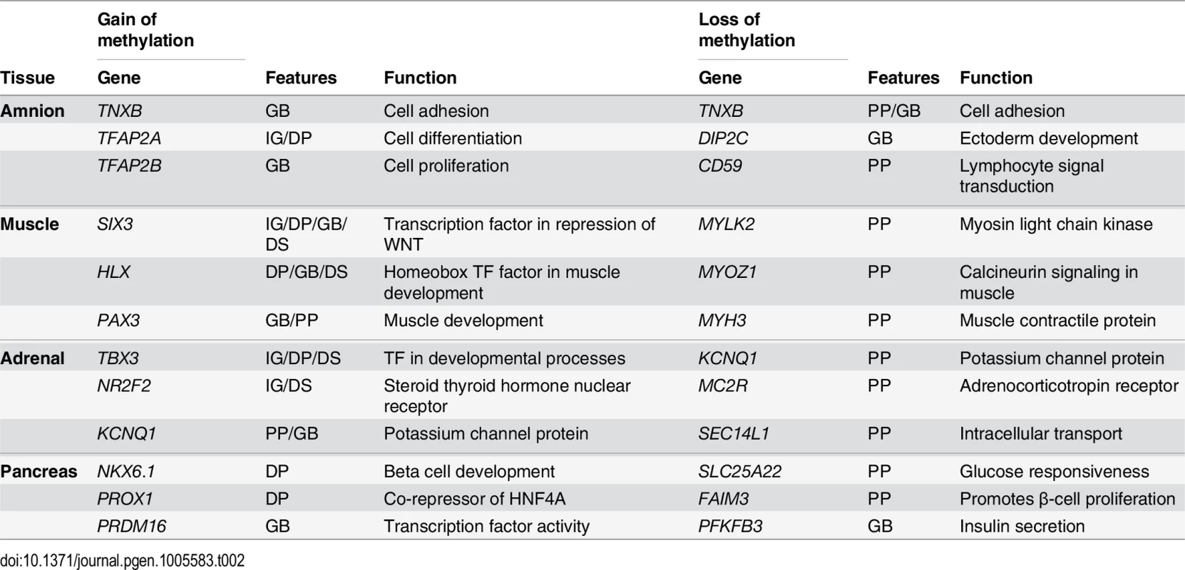 Table with six genes per tissue highlighting the tissue specificity of the genes found near dDMRs with a loss of methylation as well as the association of dDMRs with a gain of methylation with tissue-specific developmental genes.