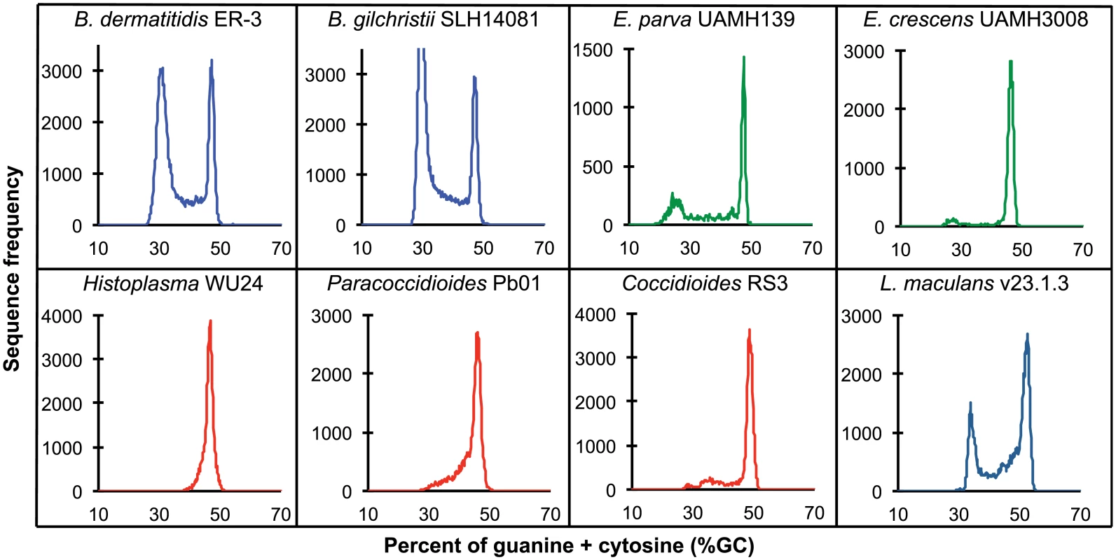 GC frequency distributions (histograms) of overlapping fragments (windows, of 32 kb) of the genome assemblies of <i>Blastomyces dermatitidis</i> ER-3, <i>B</i>. <i>gilchristii</i> SLH14081, <i>Emmonsia parva</i> (UAMH139), <i>E</i>. <i>crescens</i> (UAMH3008), <i>Histoplasma capsulatum</i> (WU24), <i>Paracoccidioides lutzii</i> (Pb01), <i>Coccidioides immitis</i> (RS3), and <i>Leptosphaeria maculans</i> (v23.1.3).