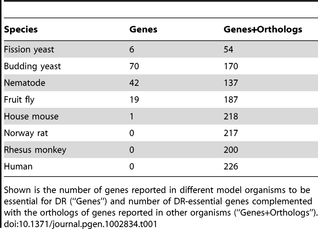 Number of DR–essential genes and orthologs in GenDR.