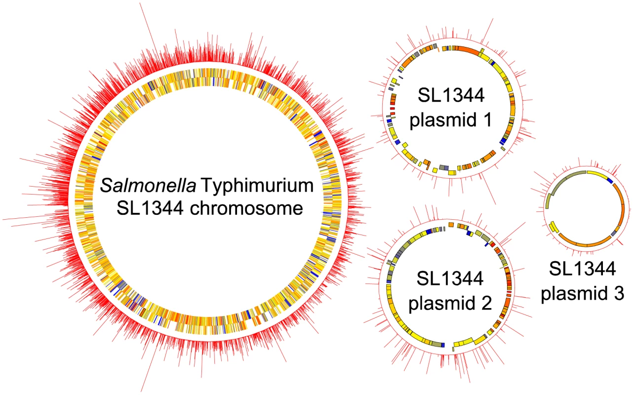 Circular diagrams of the <i>S.</i> Typhimurium SL1344 chromosome and plasmids (not to scale), showing the near random distribution and high density of transposon insertions mapped by TraDIS.