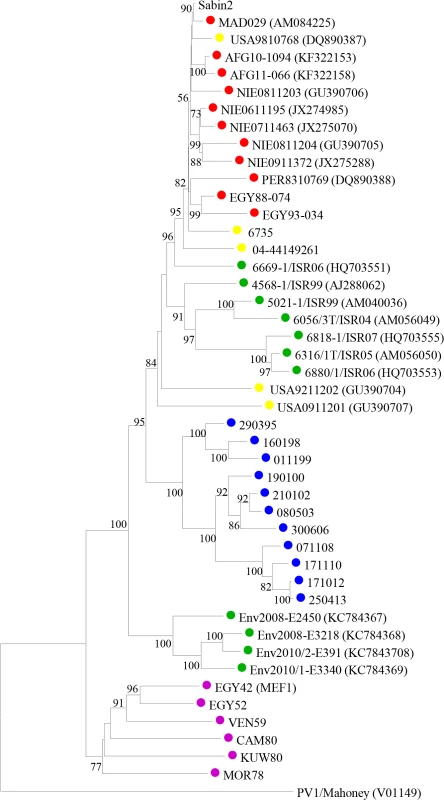 Sequence analysis of iVDPV strains.