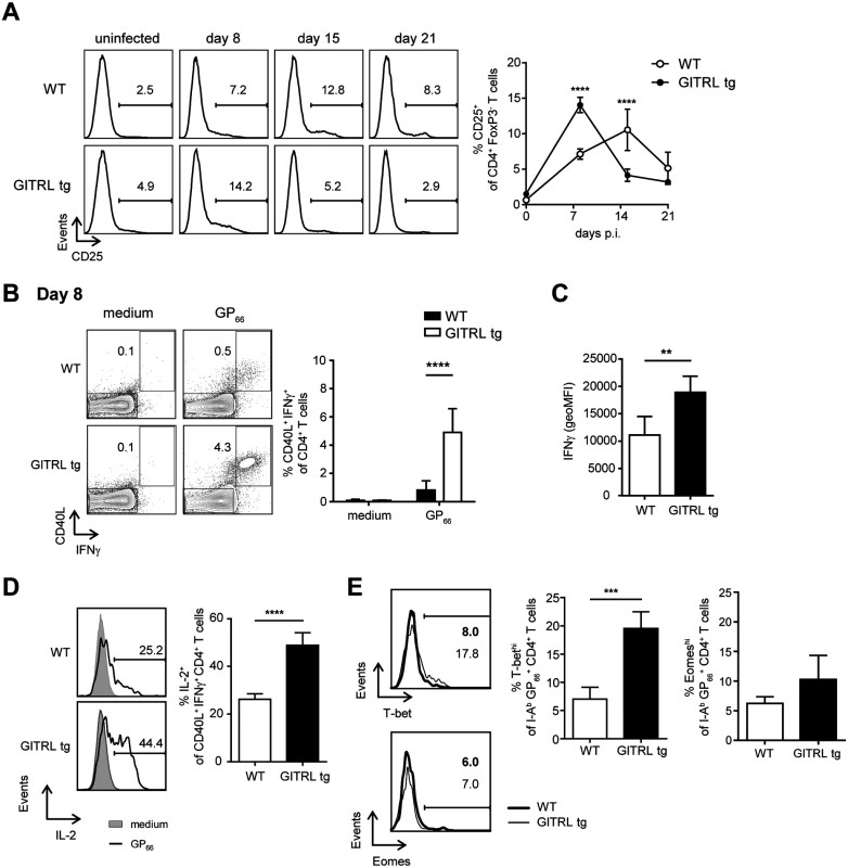 CD4<sup>+</sup> T cells from GITRL tg mice are activated earlier and are more polyfunctional during chronic LCMV infection.