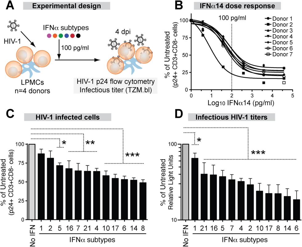 Inhibition of HIV-1 by 12 IFNα subtypes in the LPAC model.