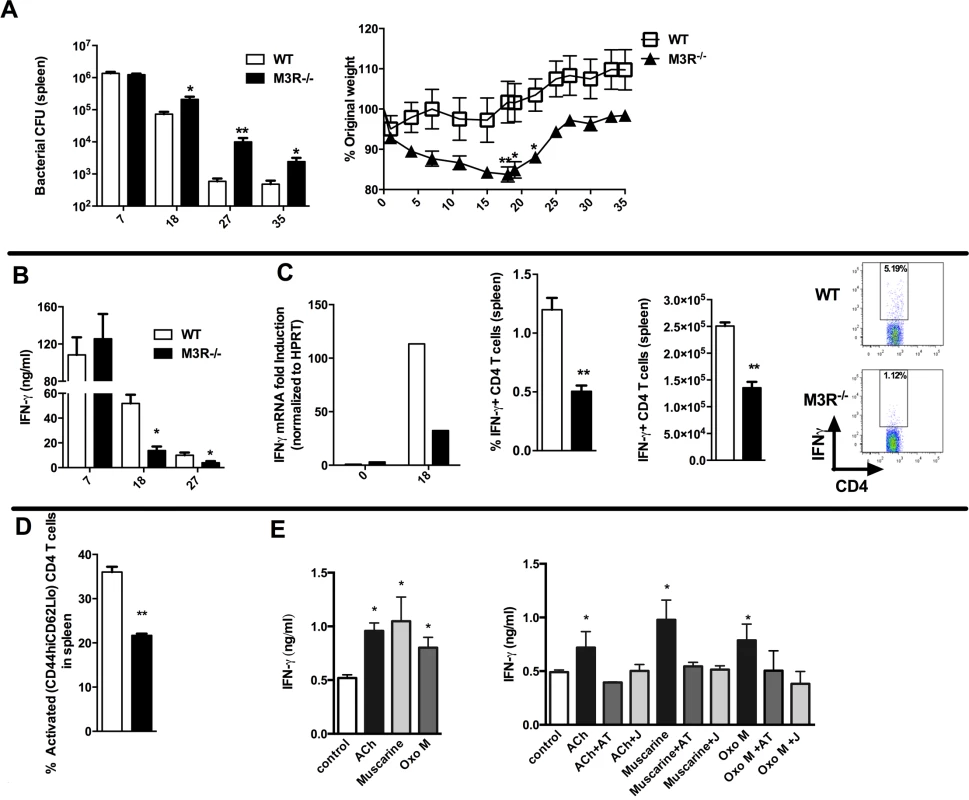 M3R deficient mice are more susceptible to <i>S. typhimurium</i> infection and exhibit impaired CD4 T cell responses.
