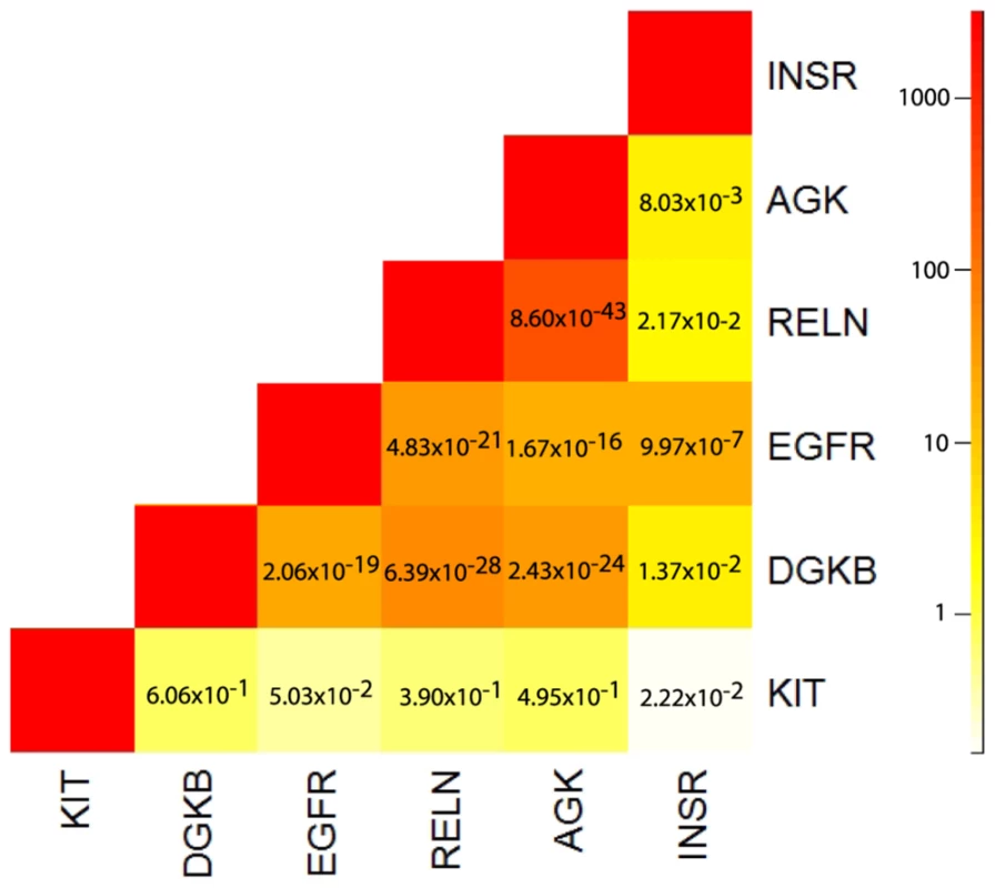 Heatmap of correlation, as measured by odds ratio estimates, between amplification status among six kinase/transferase activity genes showing signs of somatic allelic selection.