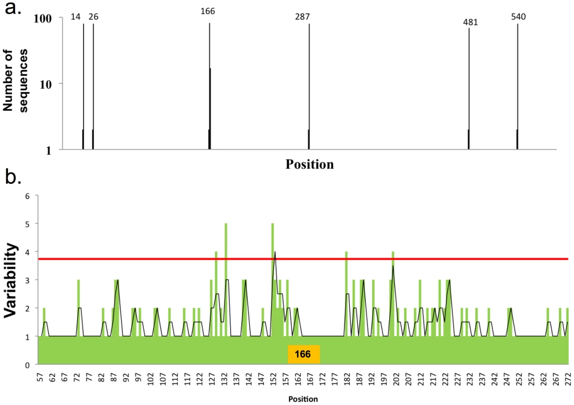 Distribution of glycosylation sites in H2N2 viruses and influence on HA variability.