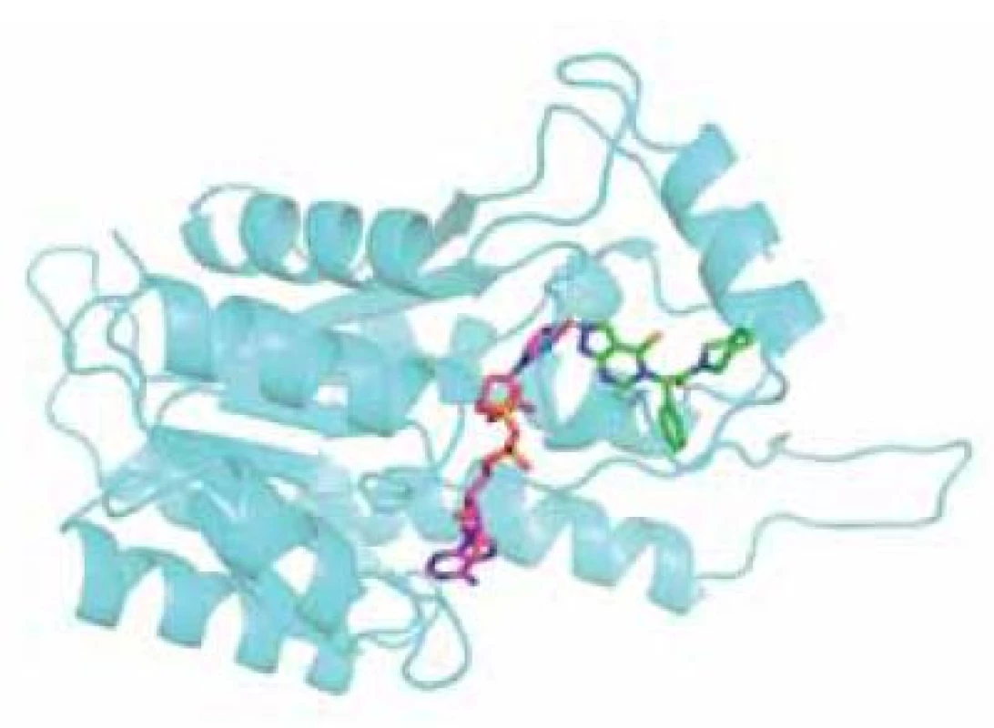Monomer ABAD s navázaným kofaktorem NAD&lt;sup&gt;+&lt;/sup&gt; (fialová) a inhibitorem AG18051 (zelená). Žlutě je naznačeno místo vzniku kovalentní vazby mezi kofaktorem a inhibitorem.